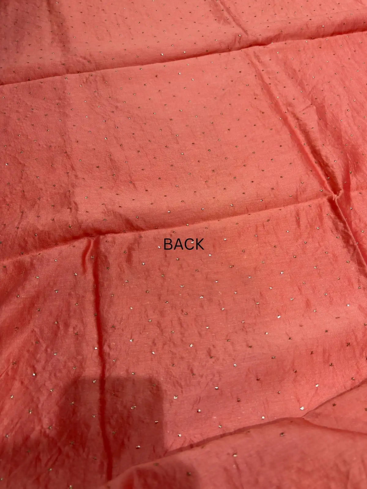 Peach Chanderi Silk Mukaish Suit back view