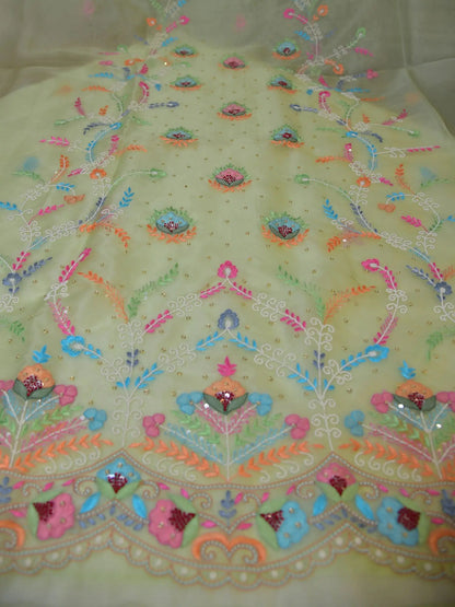 Pista Pure Organza Silk Parsi Shadow Work Straight Suit Set