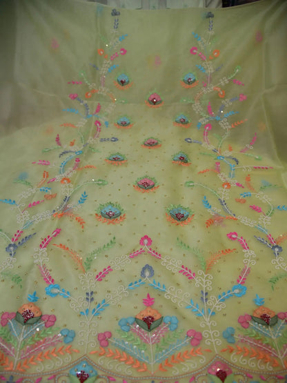 Pista Pure Organza Silk Parsi Shadow Work Straight Suit Set