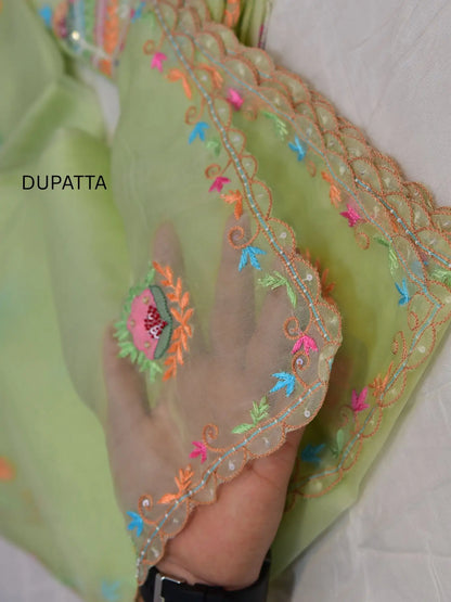 Pista Pure Organza Silk Parsi Shadow Work Straight Suit Set