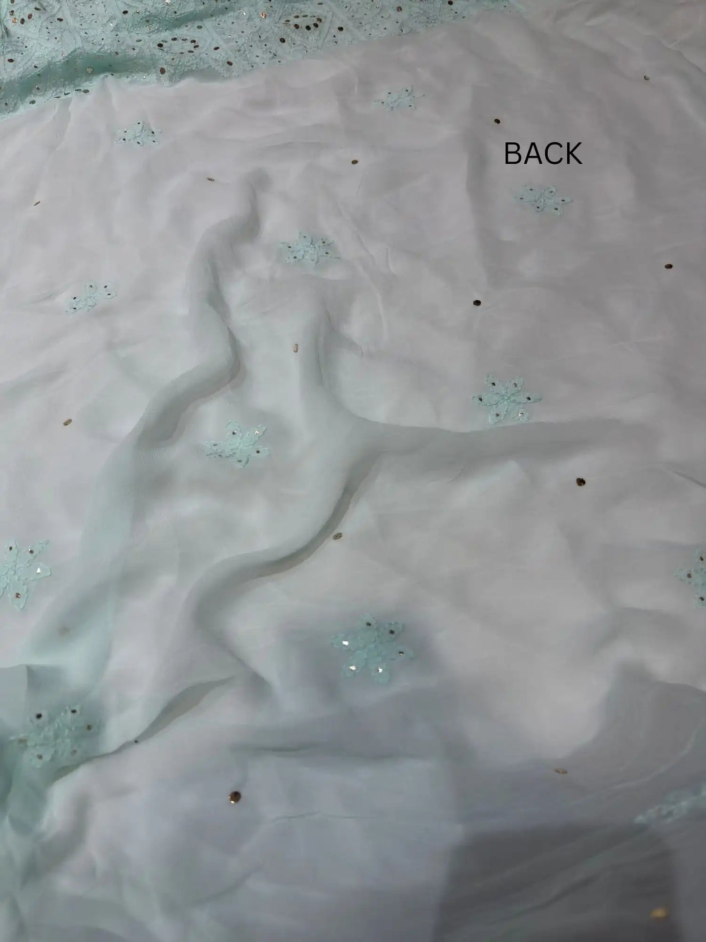 Firozi Chikankari Mukaish Parsi Zardozi suit back view