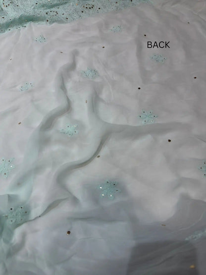 Firozi Chikankari Mukaish Parsi Zardozi suit back view