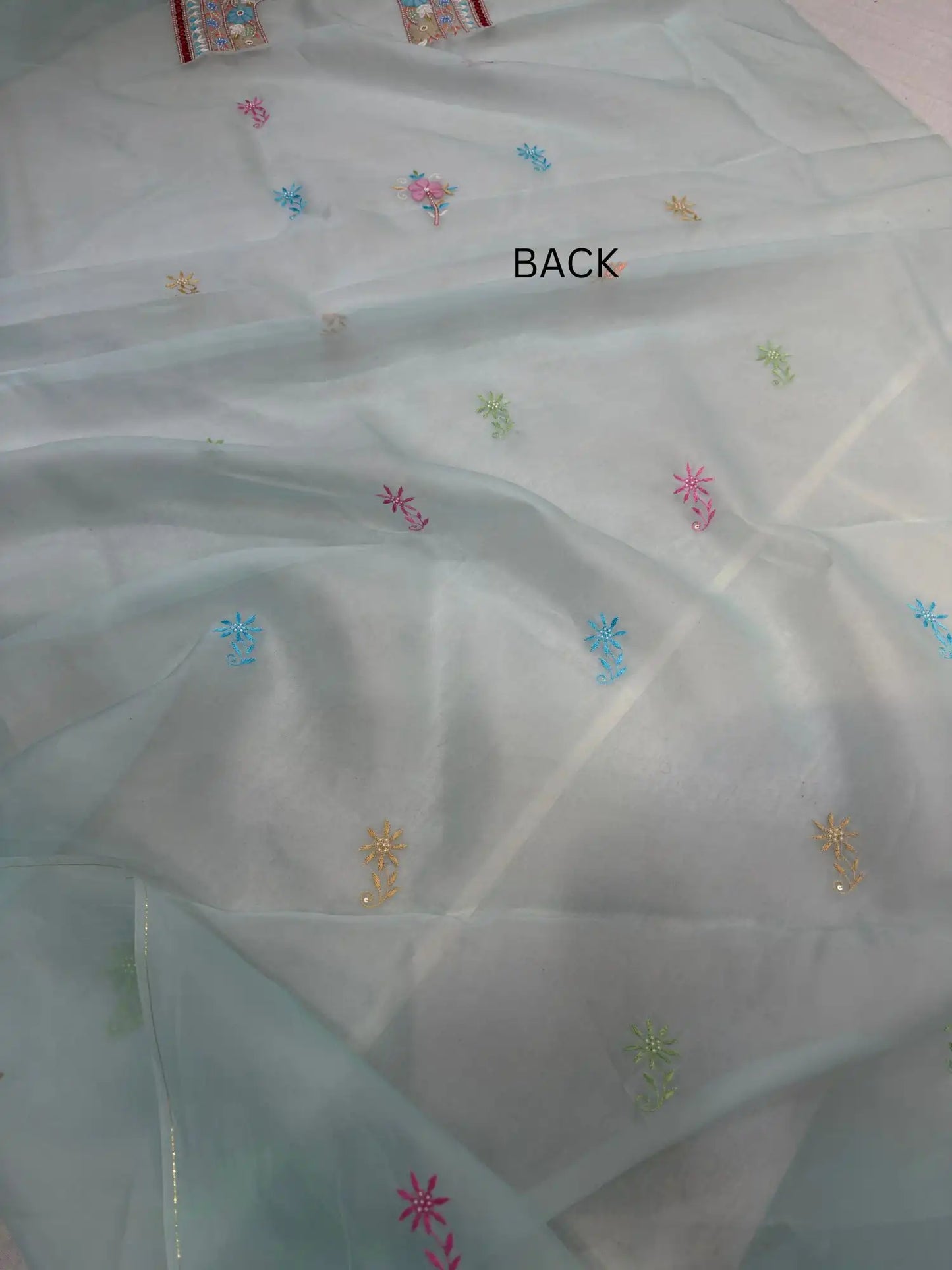 Back view of pastel sea green Pure Organza straight suit with multicolour floral embroidery