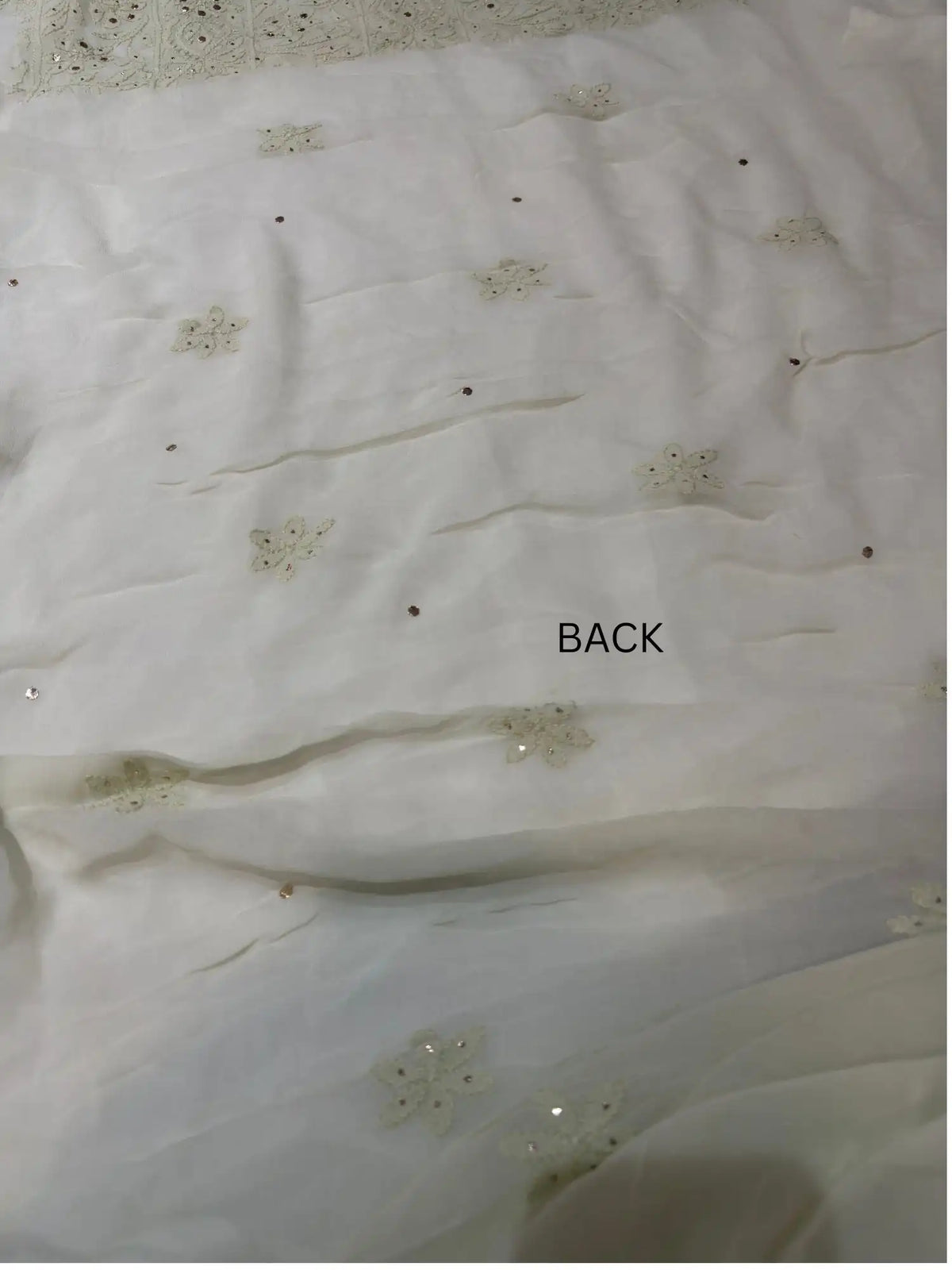 Pista Green Chikankari Mukaish Parsi Zardozi suit back view